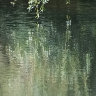 W�a�t�e�r�c�o�l�o�u�r���. Keywords: Andy Morley;w�a�t�e�r�;�c�o�l�o�u�r�;�r�e�f�l�e�c�t�i�o�n�;�M�o�n�e�t�;�i�m�p�r�e�s�s�i�o�n�i�s�t�;�g�r�e�e�n�;�b�r�o�w�n�;�w�i�l�l�o�w���